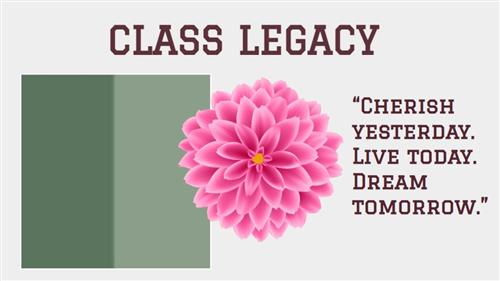 Class Legacy 25